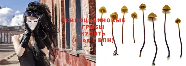 твердый Богородск
