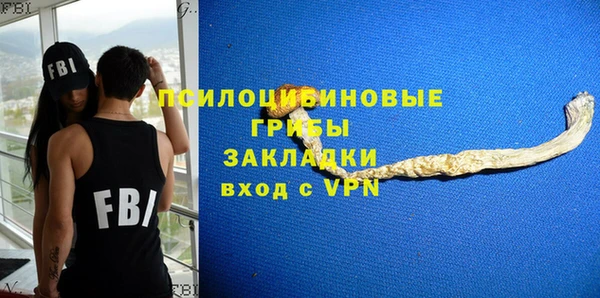 твердый Богородск